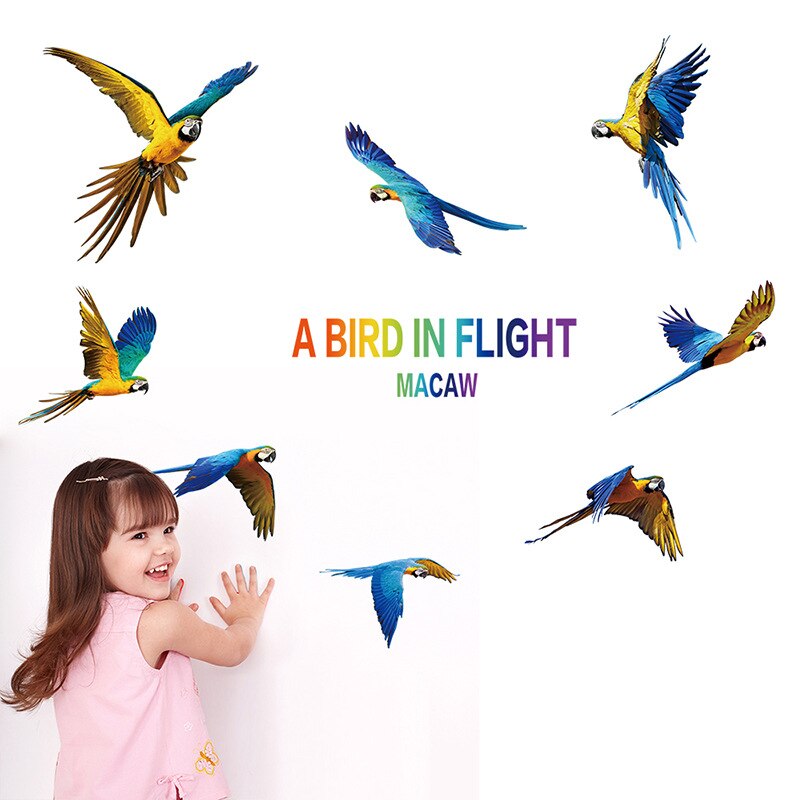 äο ޹   ƼĿ Macaw ġ Ȩ ׸ ..